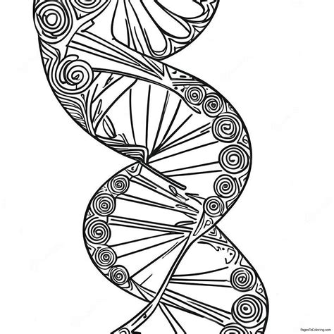 DNA Coloring 的图像结果