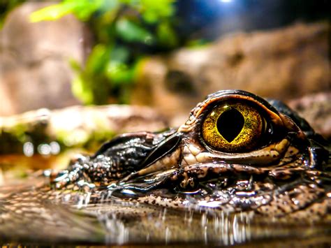 Scientists Celebrate A "Totally Unexpected" Discovery On A Remote ...