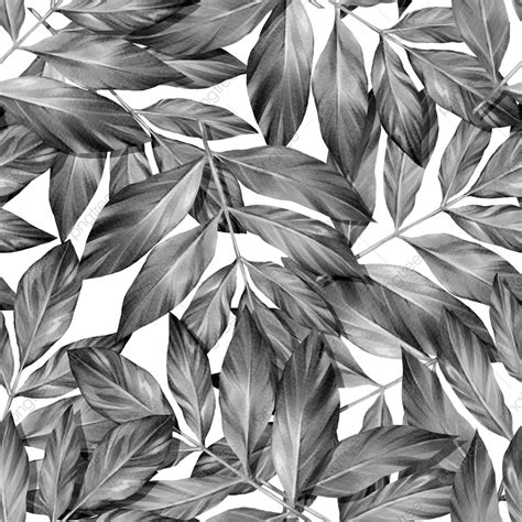 Background Black And White Leaves at Edward Cramer blog