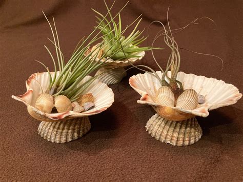 Crafts Using Sea Shells 的图像结果