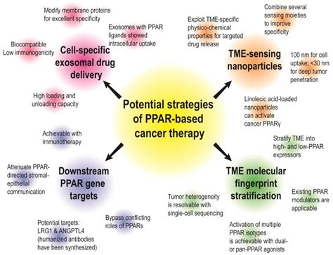 PPARs and Tumor Microenvironment: The Emerging Roles of the Metabolic ...