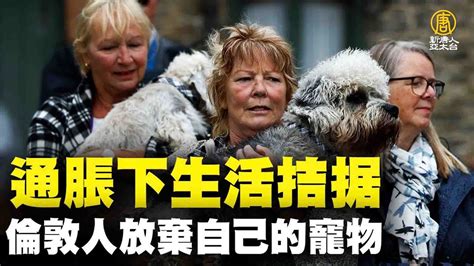 通脹下生活拮据 倫敦人放棄自己的寵物｜@ChinaBreakingNewsTV ｜20220815 - YouTube
