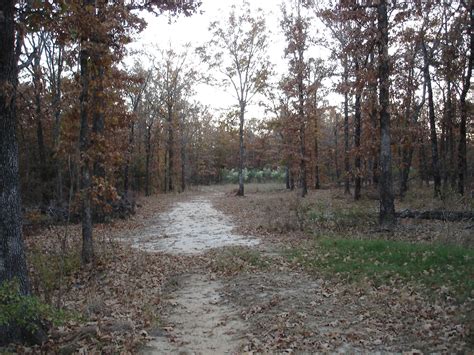 000 CR 1257, Detroit, TX 75436 | Land and Farm