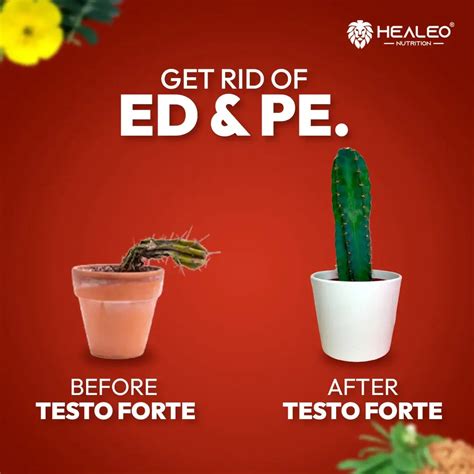 Testo Forte | Natural Testosterone Booster for Men | Healeo