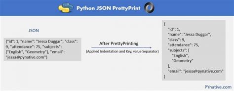 Image result for Python JSON-format