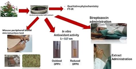 Diabetology | An Open Access Journal from MDPI