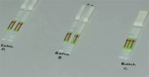 Tata Group's Feluda COVID-19 Test Approved For Launch