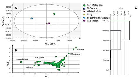 Comparative Chemical Profiles of the Essential Oils from Different ...