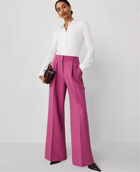 The Pleated Wide Leg Pant