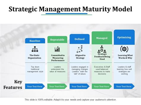 Image result for Strategy Evolution Maturity Model