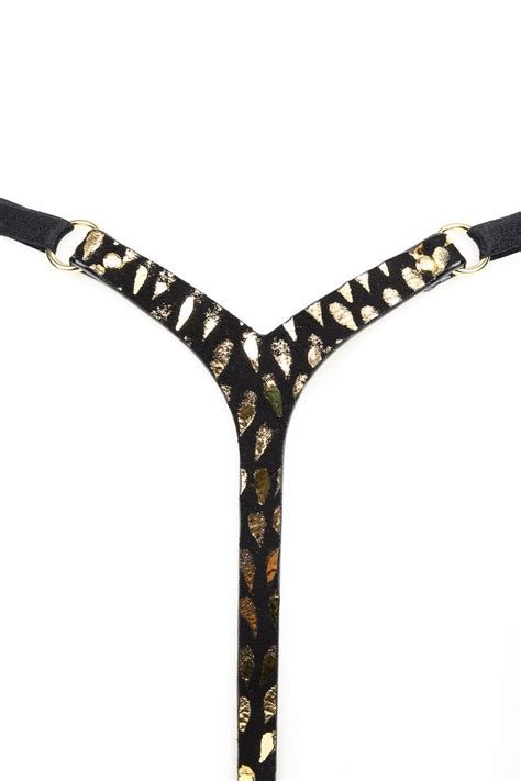 Image result for Mini String Dance