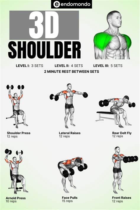 8 powerful barbell shoulder workouts for strength muscle growth – Artofit
