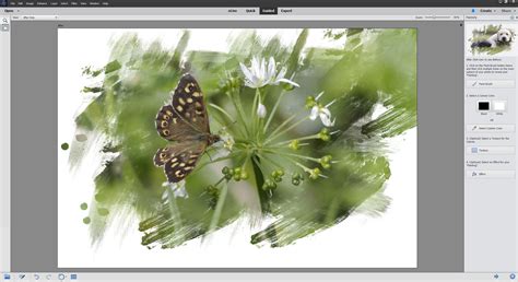 Adobe Elements 15 Tutorials 的图像结果