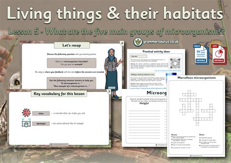 Image result for Advert Website