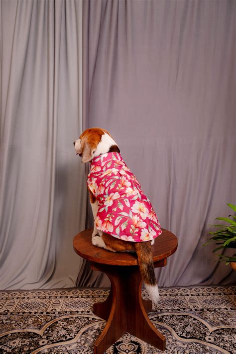 Pink Sleeveless Shirt – Siva