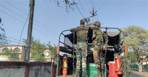 Tiger Returns: Now Sighted Near Colonel’s Academy School In Mhow