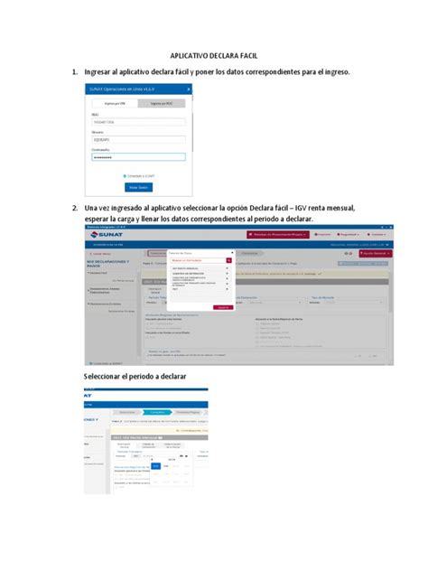 Image result for Tutorial Declarachiapas