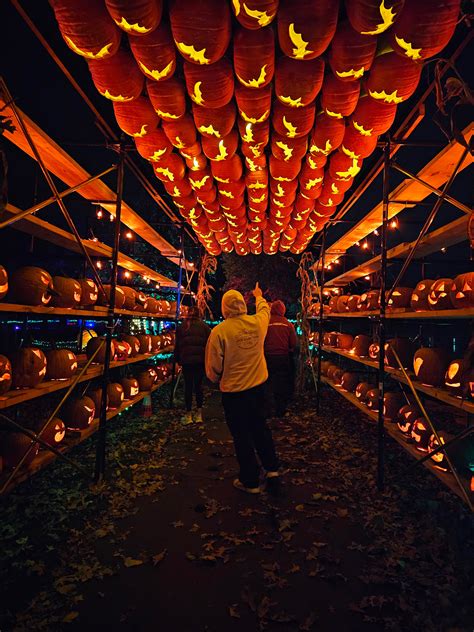 Jack O Lantern World - Lake Zurich - Jack O Lantern