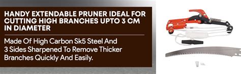 AASONS 2-Way Long Reach Extendable Trimmer Pole Pruner 350mm & Tree ...