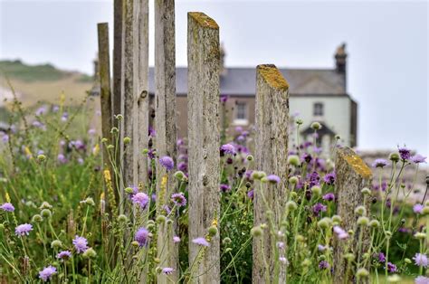 Stepping into Spring - Guided Walk, National Trust, BN20 0AB Eastbourne ...