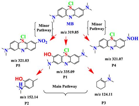 Understanding the Efficiency of Catalytic Ozonation for the Degradation ...