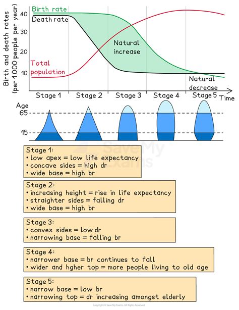 Demographic Transition Model - AP Environmental Science
