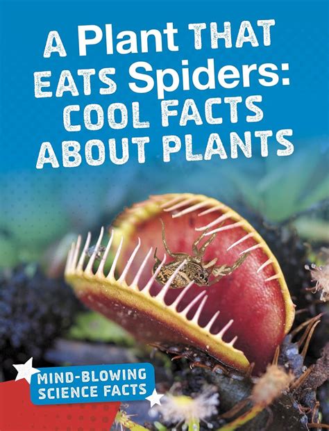 A Plant That Eats Spiders: Cool Facts About Plants (Mind-Blowing ...