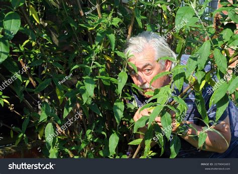 Hiding In The Bushes Gif