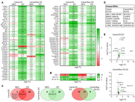 Sidestream Smoke Extracts from Harm-Reduction and Conventional Camel ...