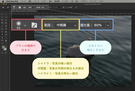 Image result for Basic Flowchart Examples