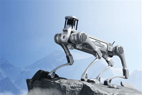 UniTree B2 Robot 的图像结果