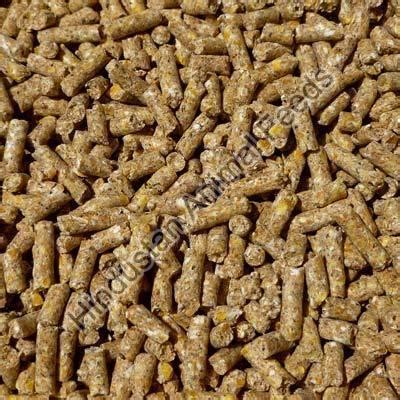 Commercial Beef Stock Feed Manufacturer, Supplier from Jamnagar