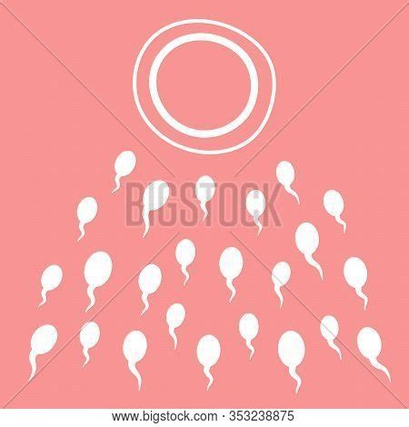 Image result for Coapulation in Humans