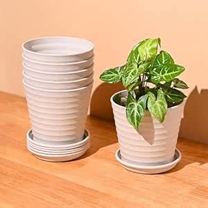 Eha Set of 6 Earth-Friendly Linea 5.5" Pots for Plants | Bamboo Based ...