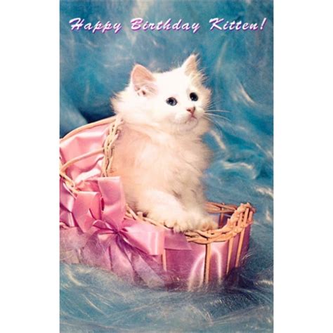 Happy Birthday Kitten Pictures