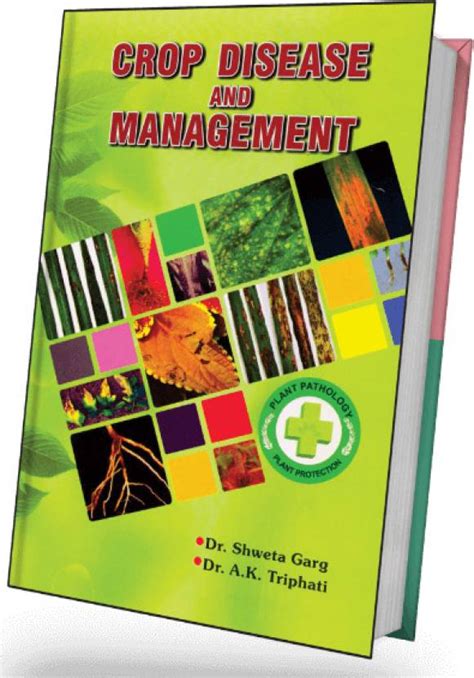 Crop disease and management: Buy Crop disease and management by DR. A.K ...