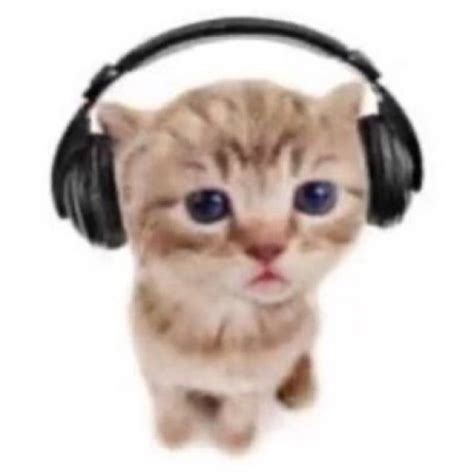 Cute Cat with Headphones