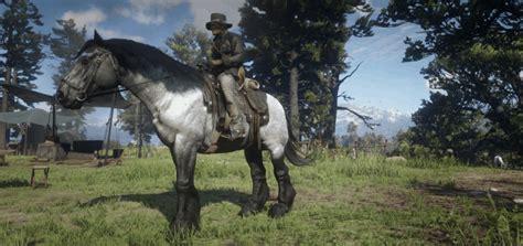 Image result for RDR2 Stream File