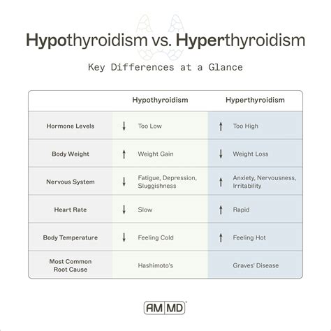 Hypothyroidism vs. Hyperthyroidism Key Differences - Amy Myers MD – AMMD