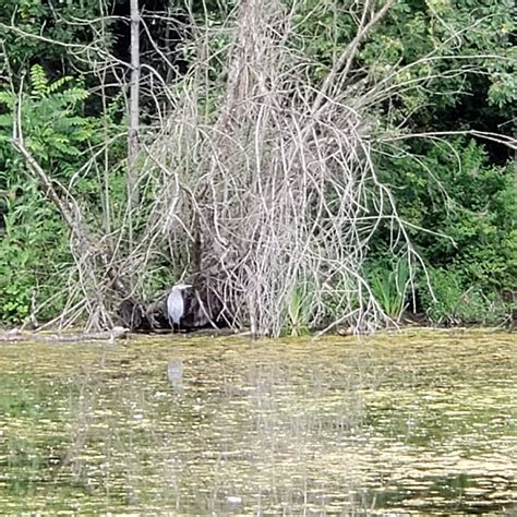 WHITAKER PONDS NATURE PARK (Portland): Tutto quello che c'è da sapere
