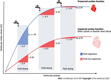 Emerging concepts in the care of patients with cirrhosis and septic shock