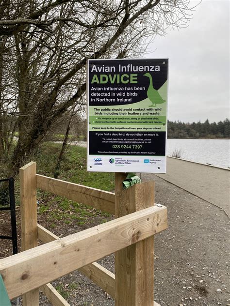 Avian Influenza Prevention Zone introduced in Northern Ireland