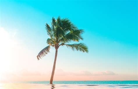 The Tropical Mile: 1,600-Meter Swim Workout