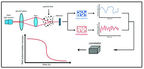 Image result for Diffusing Wave Spectroscopy