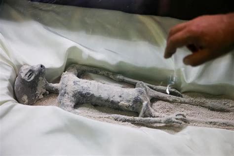 Alien X-ray 的图像结果