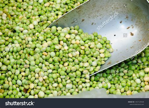Pigeon Pea: Over 5,381 Royalty-Free Licensable Stock Photos | Shutterstock
