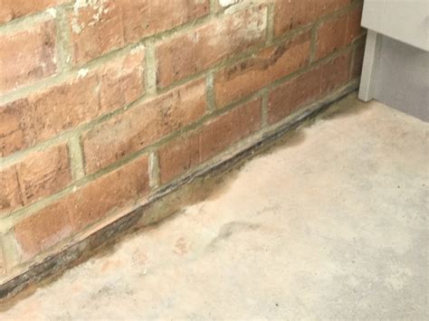 Ineffective damp course in garage... | DIYnot Forums