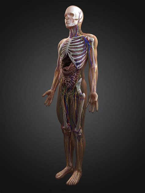 Image result for Anatomy of a Function in JavaScript