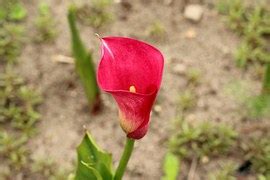 Image result for Broadcasting Interview Script Example