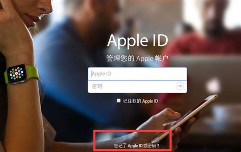 iPhone刷机能刷掉 Apple ID吗？_苹果